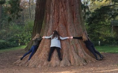 Feedback unserer TeilnehmerInnen